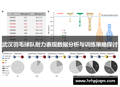 武汉羽毛球队耐力表现数据分析与训练策略探讨