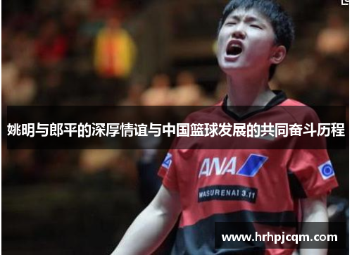 姚明与郎平的深厚情谊与中国篮球发展的共同奋斗历程